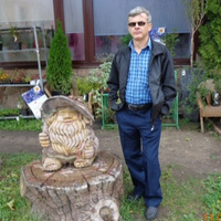 Серый Волк, 52 года, Парфино, Россия