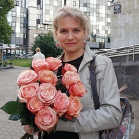 Вера Иванова, 50 лет, Санкт-Петербург, Россия